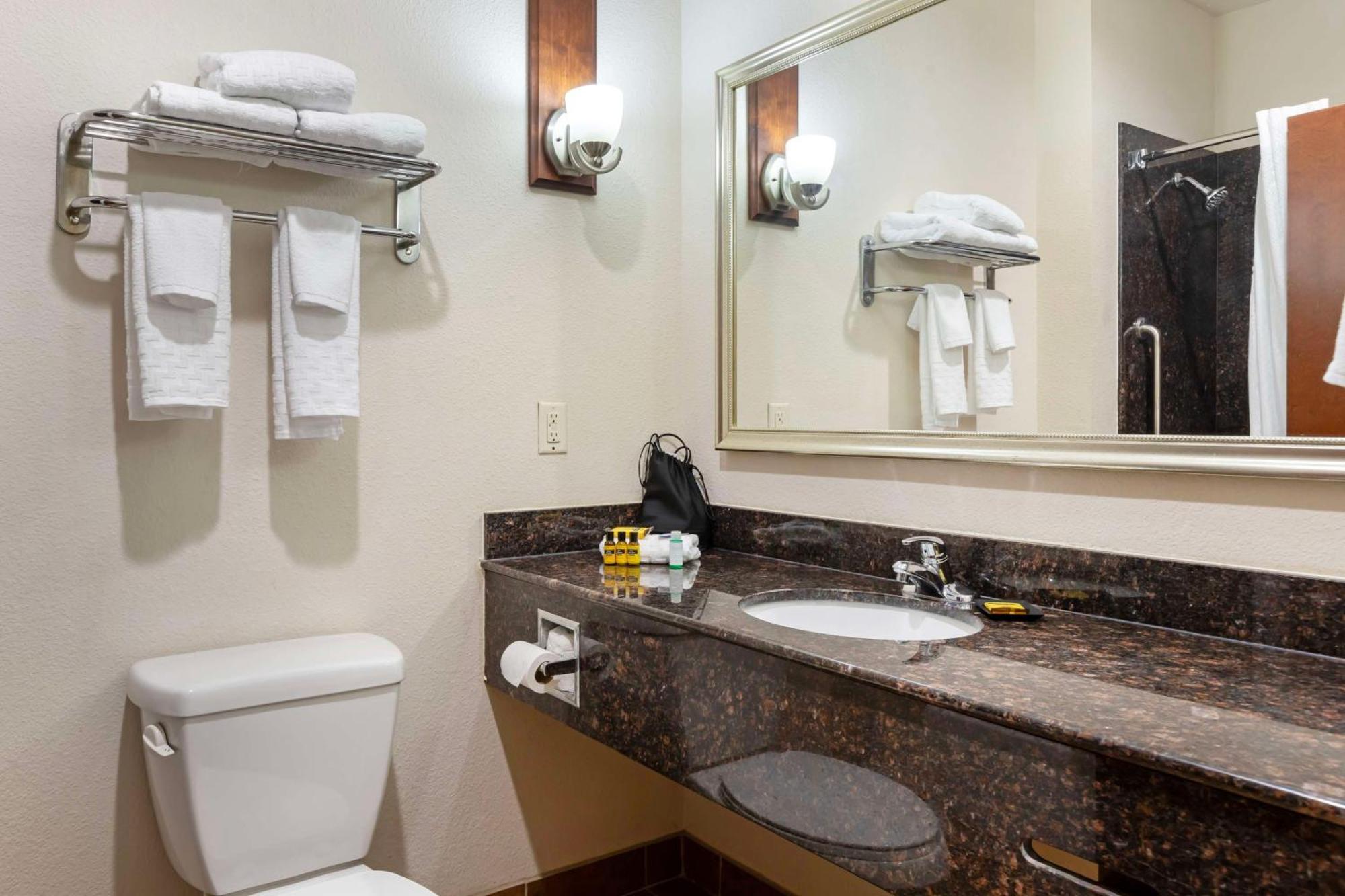 Best Western Plus Greenville South Piedmont Екстер'єр фото