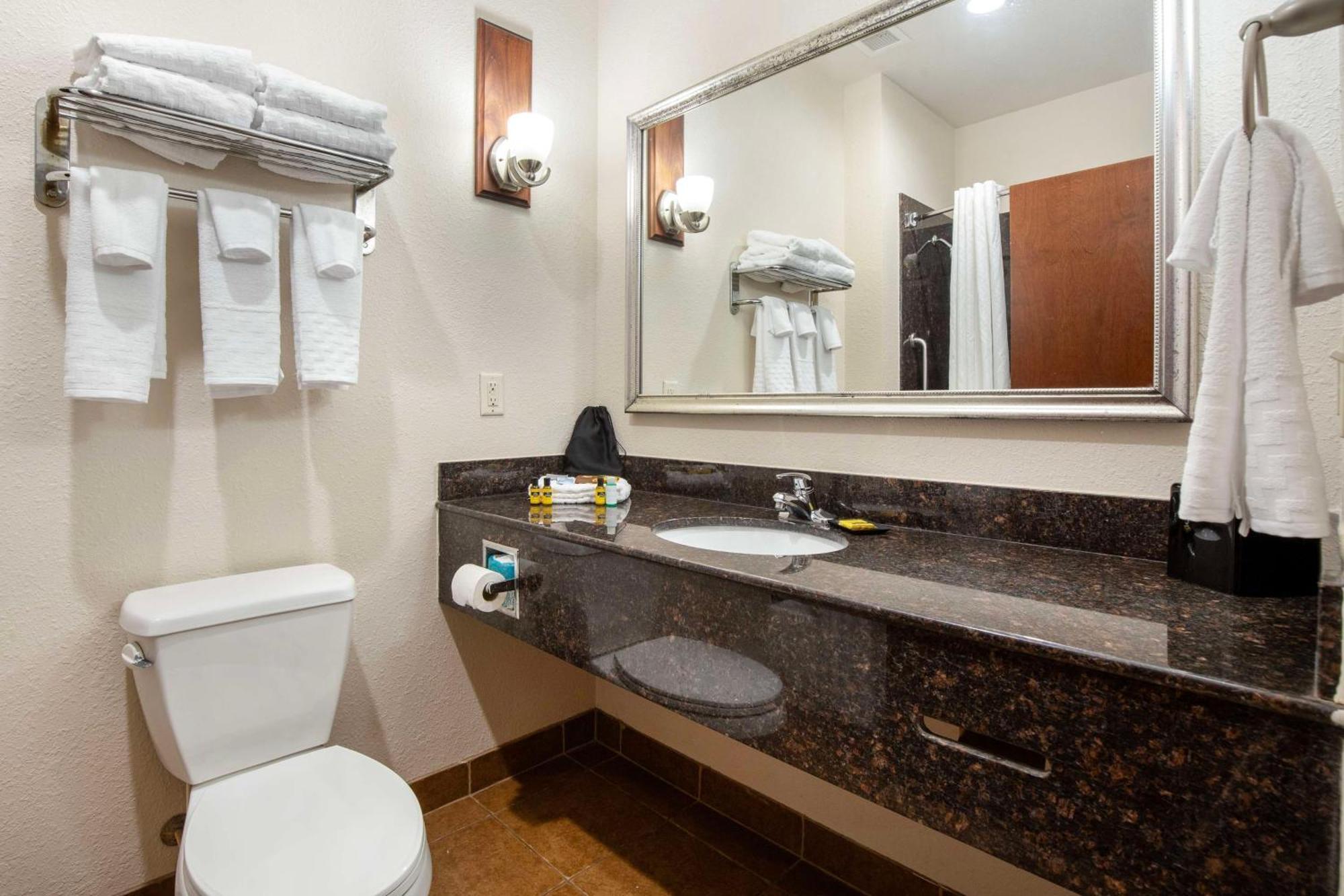 Best Western Plus Greenville South Piedmont Екстер'єр фото